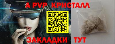 прущие грибы Гудермес