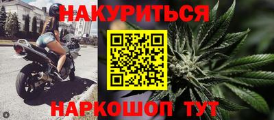 прущие грибы Гудермес