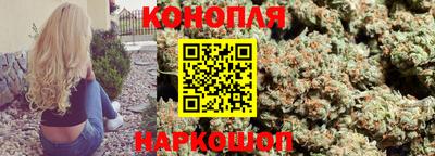 прущие грибы Гудермес