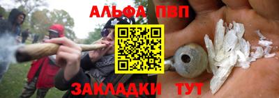 прущие грибы Гудермес