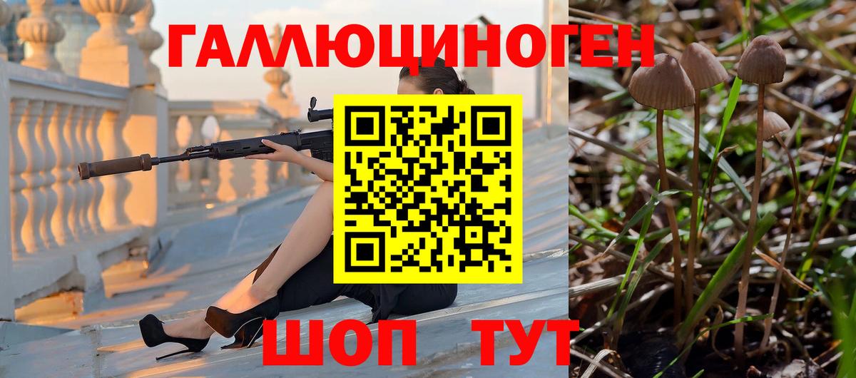Галлюциногенные грибы Psilocybe  Вход с VPN  Губкинский 