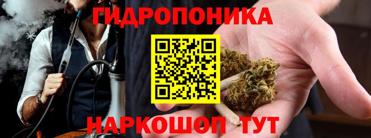МАРИХУАНА сатива Губкинский